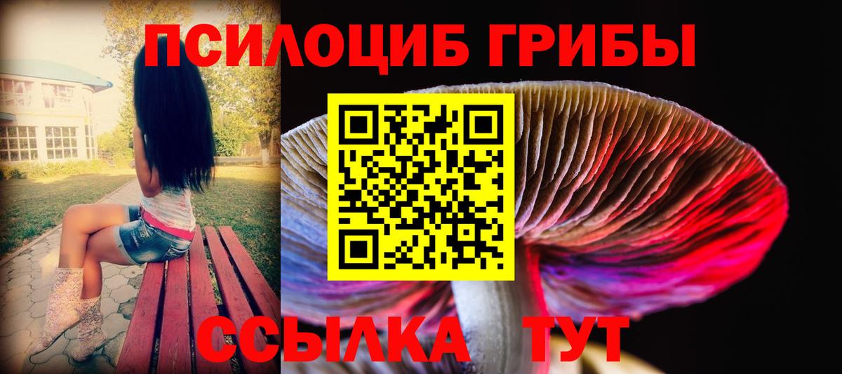 Галлюциногенные грибы прущие грибы  Псилоцибиновые грибы GOLDEN TEACHER  Луга  Вход с VPN 