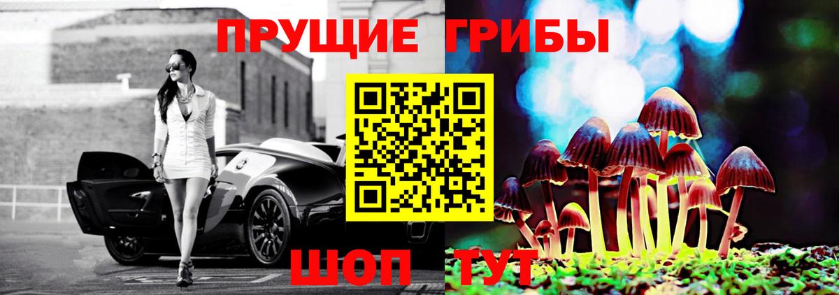Галлюциногенные грибы Psilocybe Луга